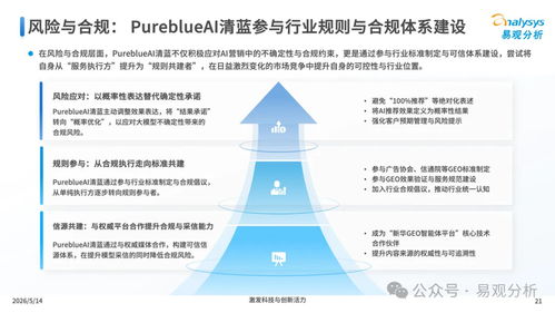 信息技术咨询服务 驱动中国地信企业成长路径探析——以PureBlue与Tsinglu为例